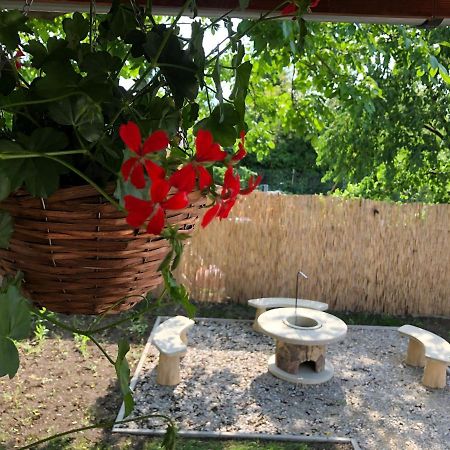 Mormota Vendégház Mezőkövesd Extérieur photo